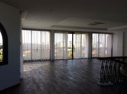 Nassim Mansion (D10), Apartment #458938881